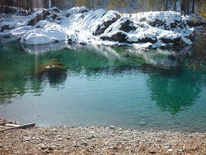 belokuriha istochnick